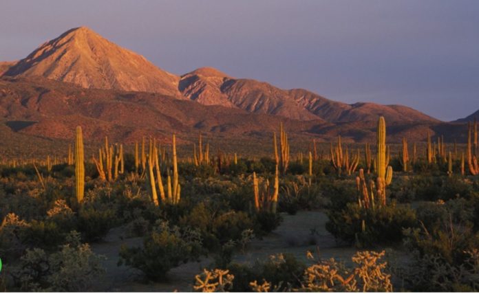 secundario setues_conanp